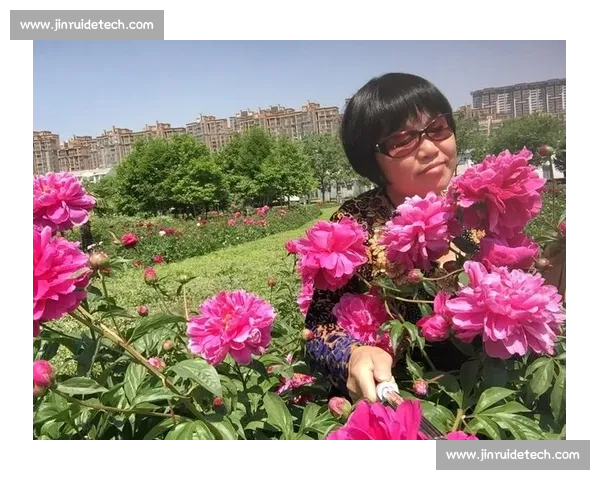 当代背景下体育法规体系构建与实践应用深度解读创新发展路径探析 - 副本 - 副本 当代背景下体育法规体系构建与实践应用深度解读创新发展路径探析 - 副本 - 副本