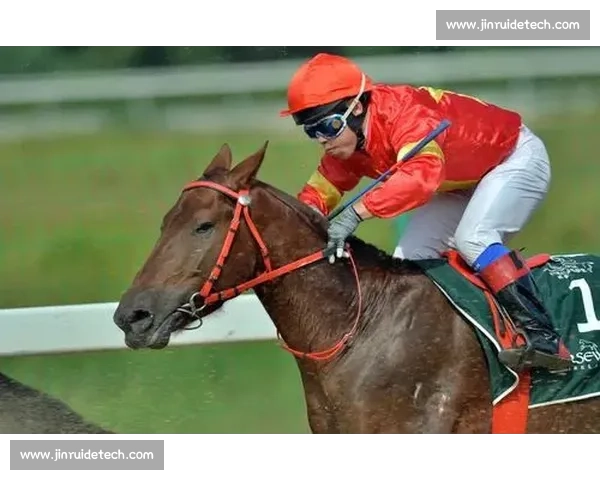 激情绽放城市之巅体育表演赛盛典启幕全民共享荣耀时刻创新篇章启航 - 副本 (2)